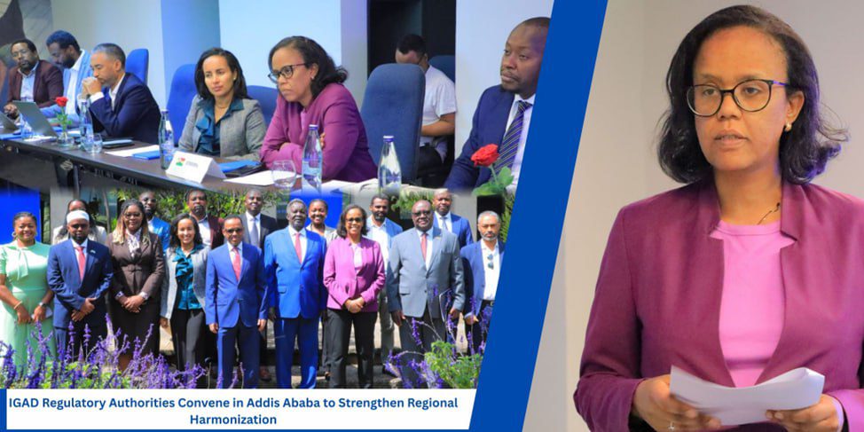 photo_2025-09-09_11-38-03